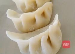 水晶萝卜肉馅煎饺的做法图解6