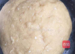 香甜小麻花的做法图解2