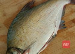 蒜椒蒸武昌鱼的做法图解1