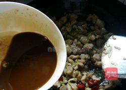 宫保鸡丁的做法图解9