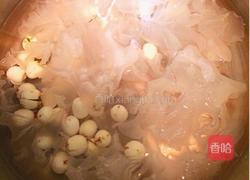 木瓜莲子银耳羹的做法图解4