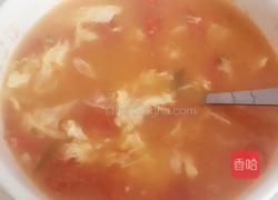 减肥西红柿蛋汤的做法图解3