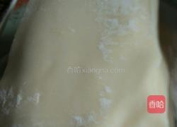 三鲜混沌的做法图解3