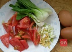 西红柿鸡蛋面的做法图解1