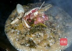 酸菜鱼的做法图解8
