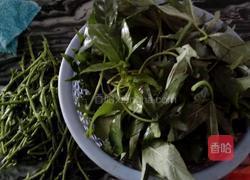 蒜蓉炒蕃薯苗的做法图解2