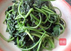 蒜蓉炒蕃薯苗的做法图解7