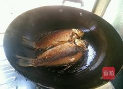 蕃茄烧鲫鱼的做法图解3