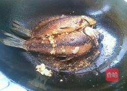蕃茄烧鲫鱼的做法图解4