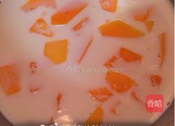 木瓜椰奶西米露的做法图解7