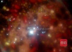 自制五谷饭的做法图解2