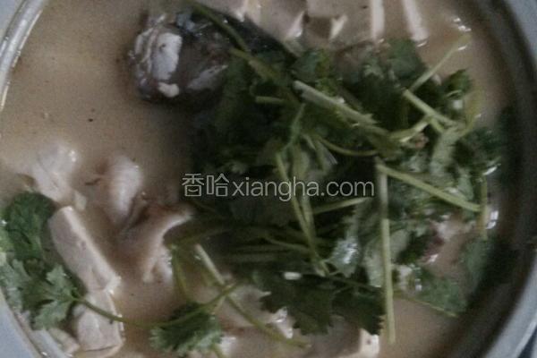 鱼头豆腐汤