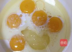 巧克力核桃蛋糕卷的做法图解7