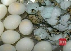 茄汁鹌鹑蛋。的做法图解3