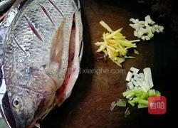 清蒸非洲鲫鱼的做法图解1