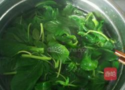 凉拌小米菜的做法图解2