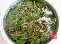凉拌马齿苋的做法图解4
