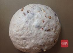 全麦核桃葡萄干软欧的做法图解4