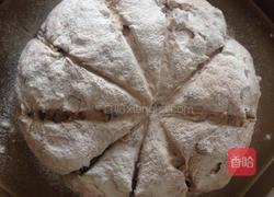 全麦核桃葡萄干软欧的做法图解5