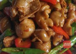 双椒爆肥肠的做法图解6