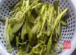 蒜蓉菜心的做法图解1