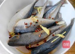 茄汁沙丁鱼的做法图解1