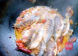 茄汁沙丁鱼的做法图解13