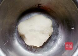 鸡肉胡萝卜馄饨的做法图解1