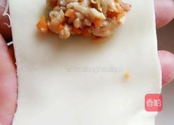 鸡肉胡萝卜馄饨的做法图解6