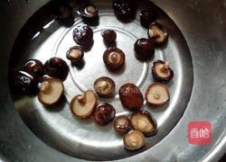 磨菇焖鸡肉的做法图解2