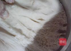 木耳韭菜鸡蛋包子的做法图解19