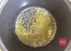 绿豆冰糖粥的做法图解2