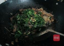 焖鲢鱼的做法图解7