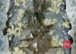 蒜茸蒸开边虾的做法图解2