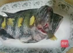 清蒸苏眉的做法图解2