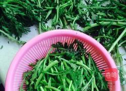 蒜香茼蒿的做法图解1