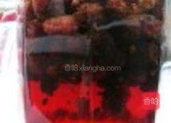 桑椹酒的做法图解4