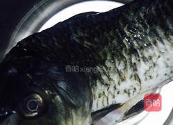 鲫鱼豆腐汤的做法图解1