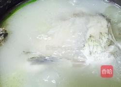 鲫鱼豆腐汤的做法图解4