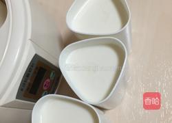 自制酸奶的做法图解3