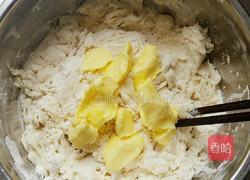 原味苏打饼干的做法图解4