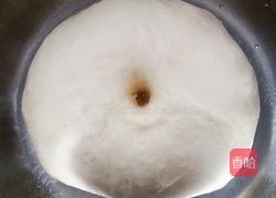 原味苏打饼干的做法图解6