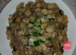 草菇炒肉的做法图解11