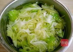 手撕圆白菜的做法图解4