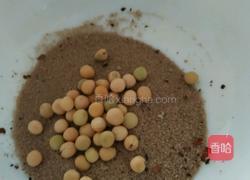 微波碗豆的做法图解3
