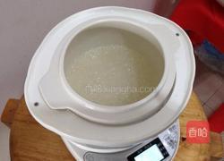 木瓜燕窝的做法图解2