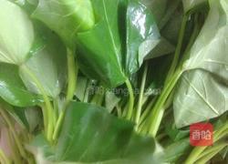 红薯叶的做法图解1