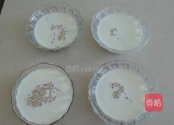 芒果牛奶西米露的做法图解5