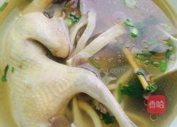 鸽子蘑菇汤的做法图解6