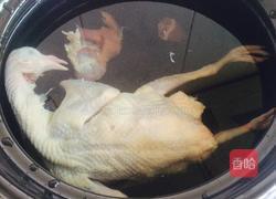 鸽子蘑菇汤的做法图解2